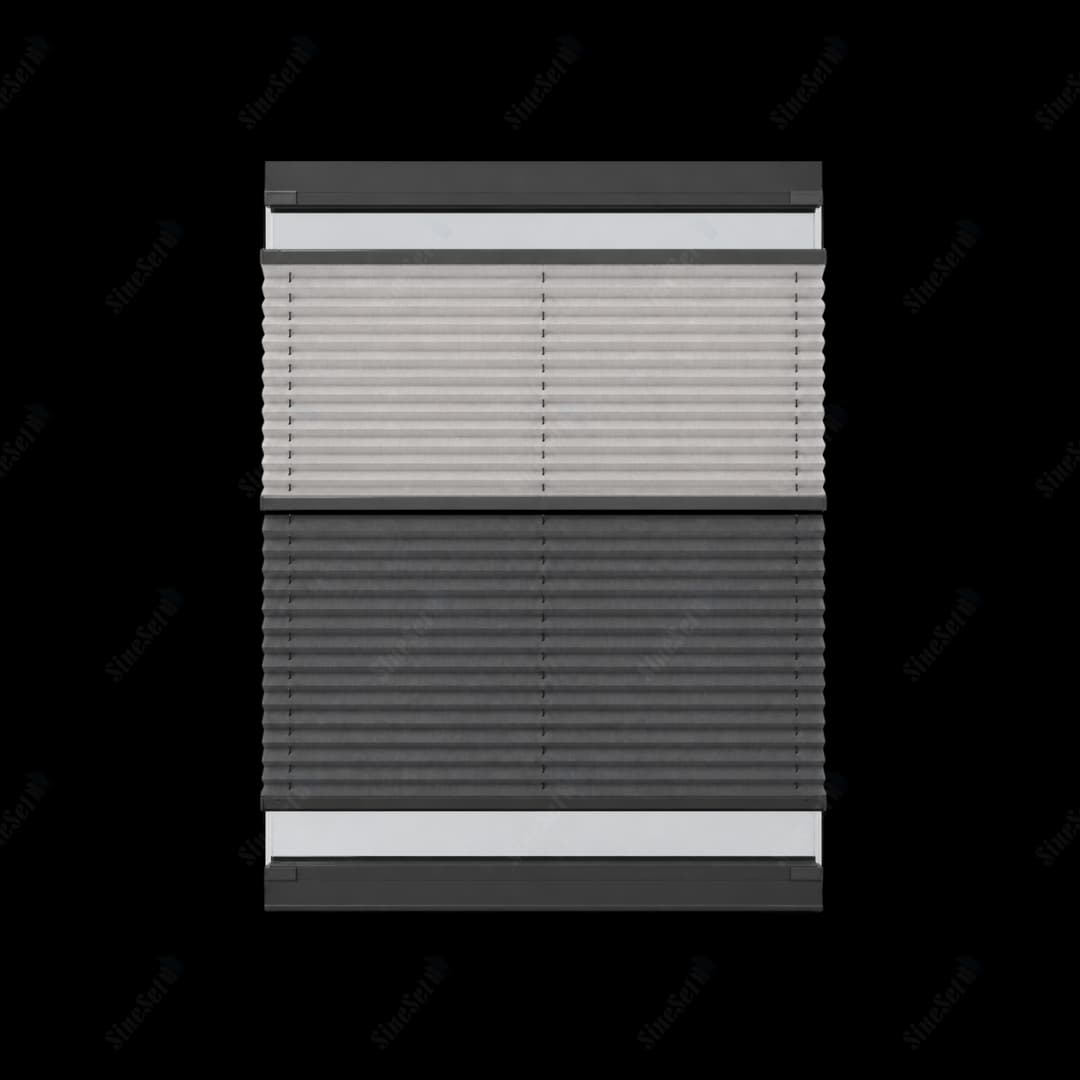 Day & Night Pleated Blind